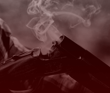 Category Tile Shotguns