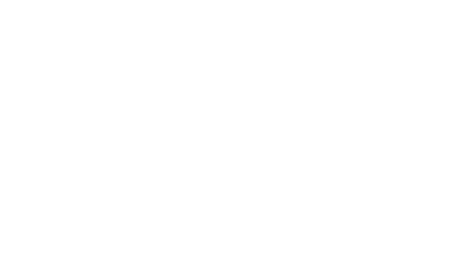 firearms legal protection