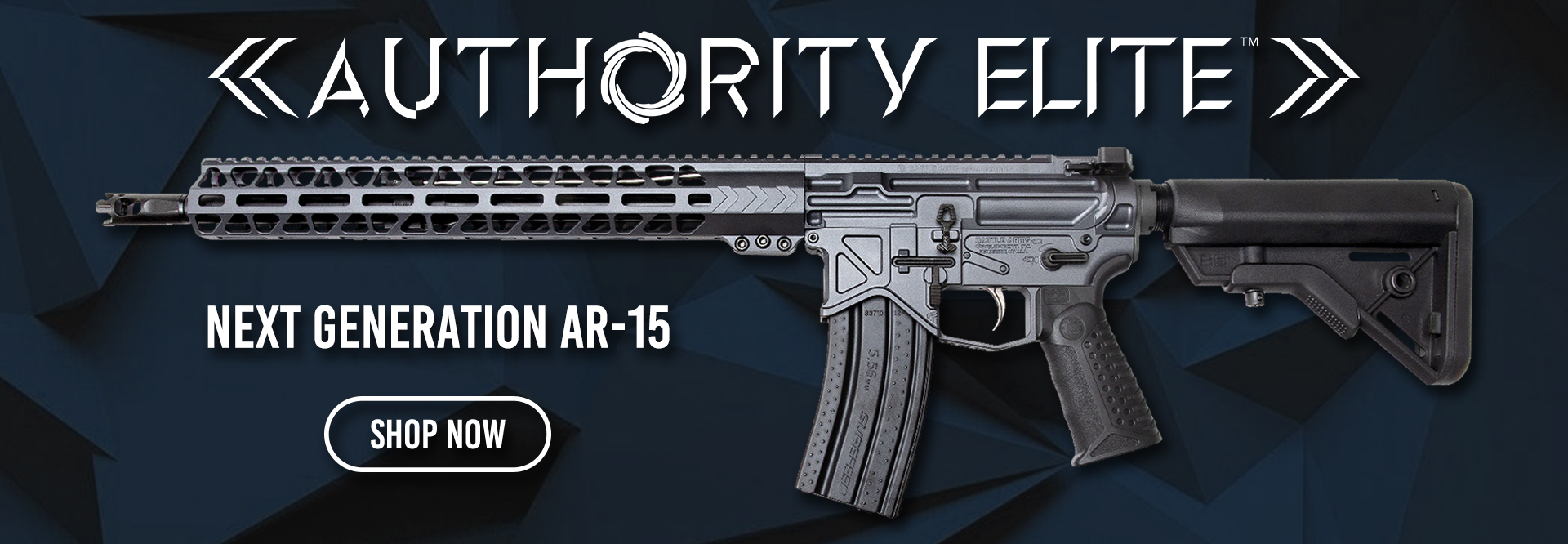 AUTHORITY ELITE BANNER 2
