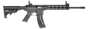 Smith & Wesson M&P 15 22 .22lr