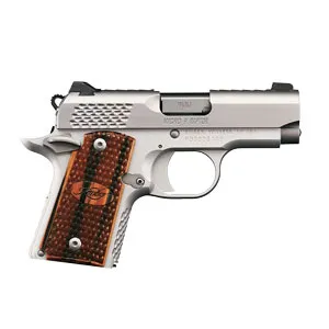 Kimber Micro9 Stainless Raptor 9mm