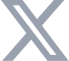 x icon