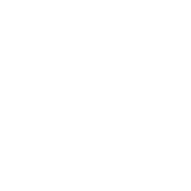Services - Digital Fingerprints